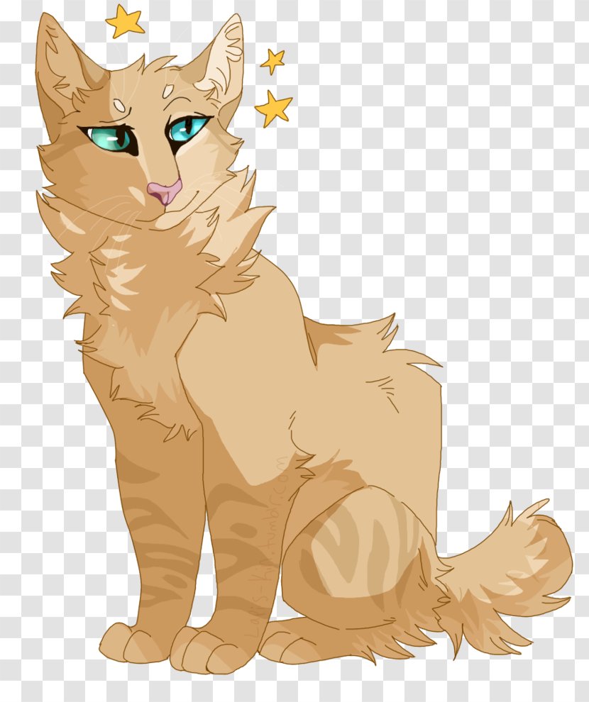 Whiskers Kitten Wildcat Lion - Big Cat Transparent PNG
