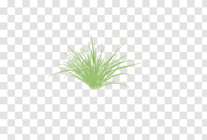 Green Grasses Aquarium Herb Plant Stem - Grass Floor Transparent PNG