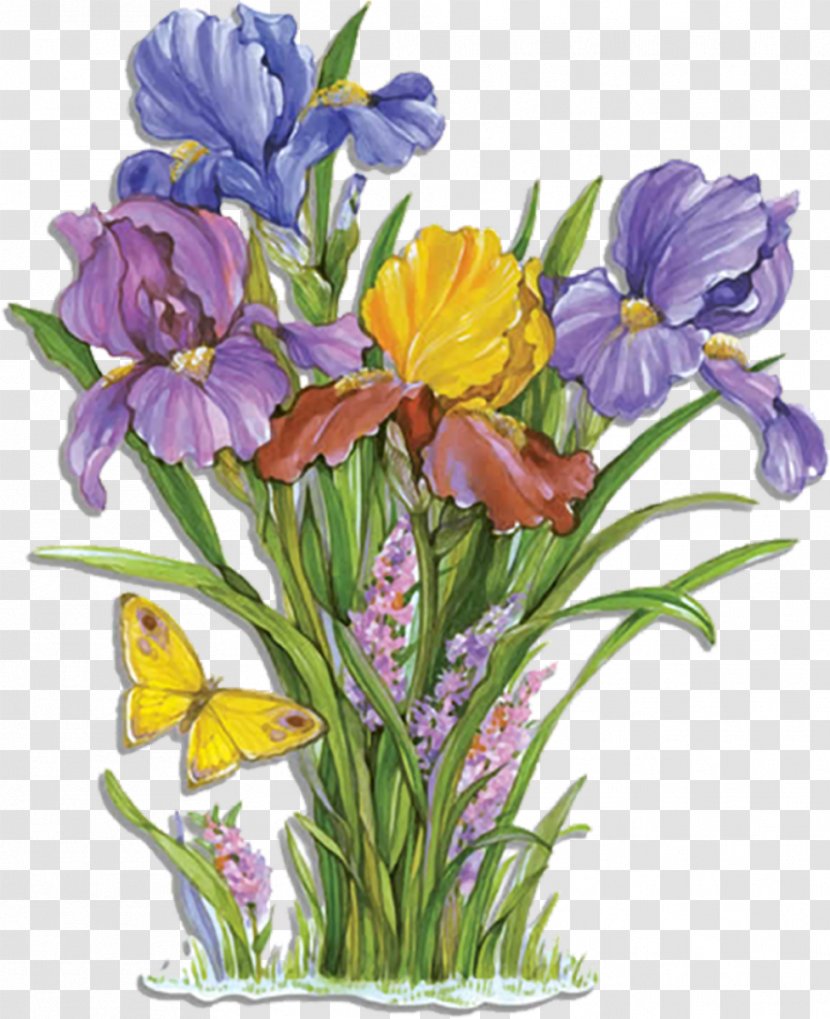 Unblog Desktop Wallpaper - Herbaceous Plant - Iris Transparent PNG