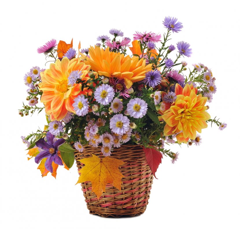 Flower Bouquet Stock Photography Cut Flowers - Autumn Transparent PNG