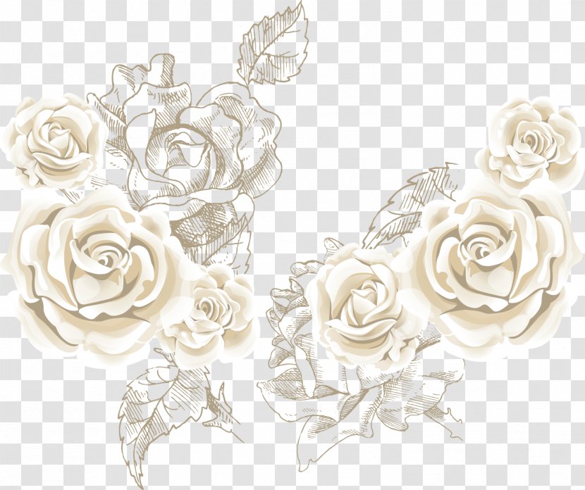 Beach Rose Flower Clip Art - Wedding Ceremony Supply - White Roses Background Vector Sea Transparent PNG
