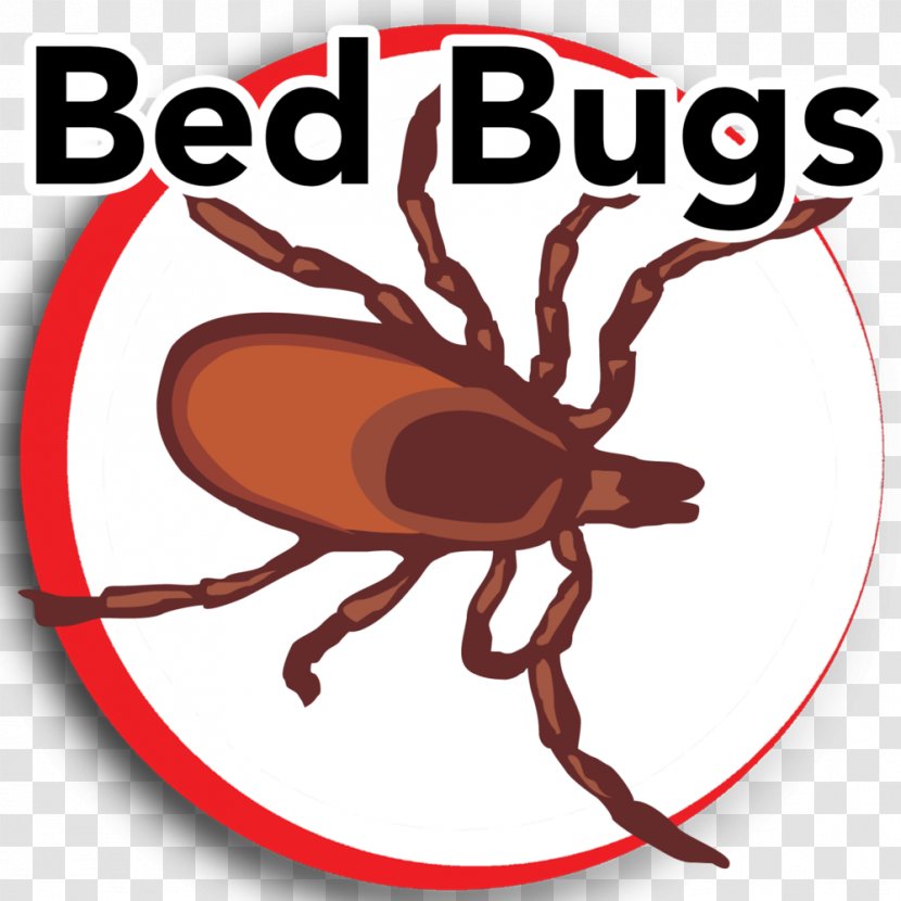 Insect Pest Bed Bug Clip Art - Arthropod - Bugs Transparent PNG