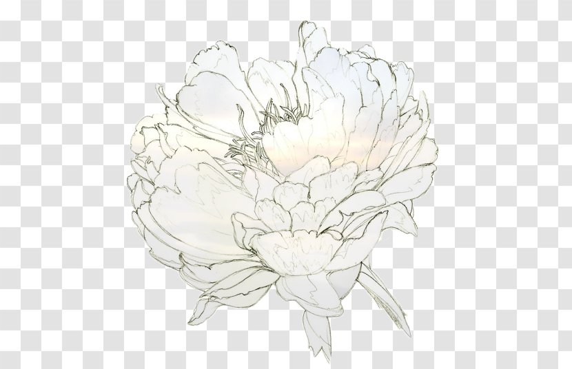 Drawing Peony Watercolor Painting Line Art - Bohemia F;ower Transparent PNG