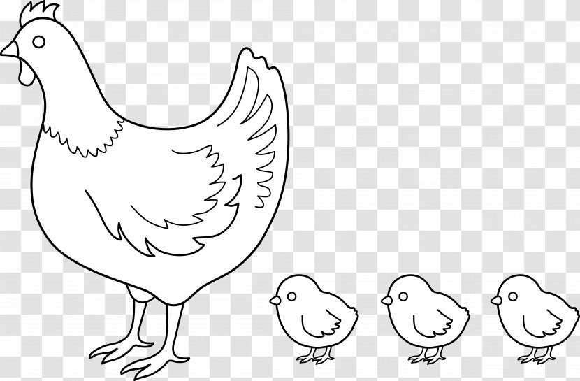 Chicken Drawing Clip Art - Chick Transparent PNG