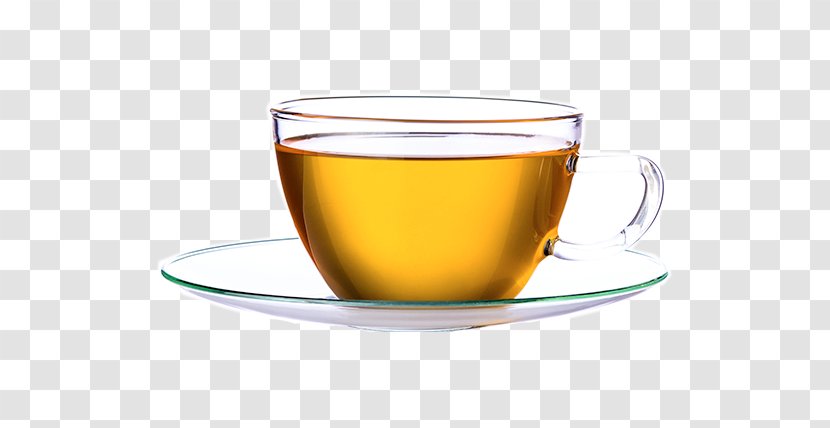 Zuleana: A New Way Of Life Dandelion Coffee Mate Cocido Tea Urine Therapy - Disease Transparent PNG
