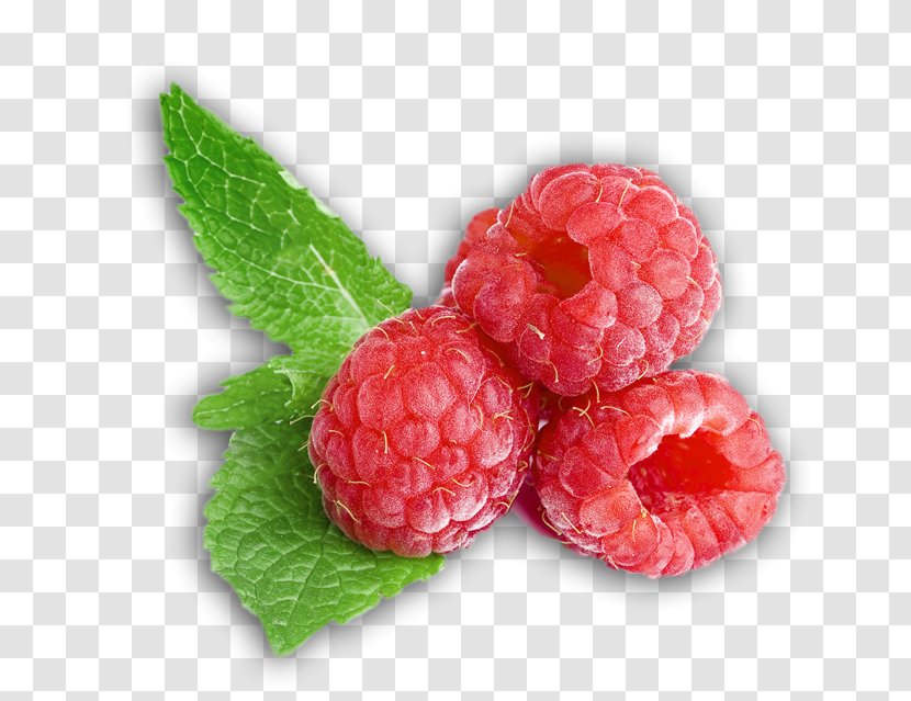 West Indian Raspberry Loganberry Boysenberry Tayberry - Berry Transparent PNG