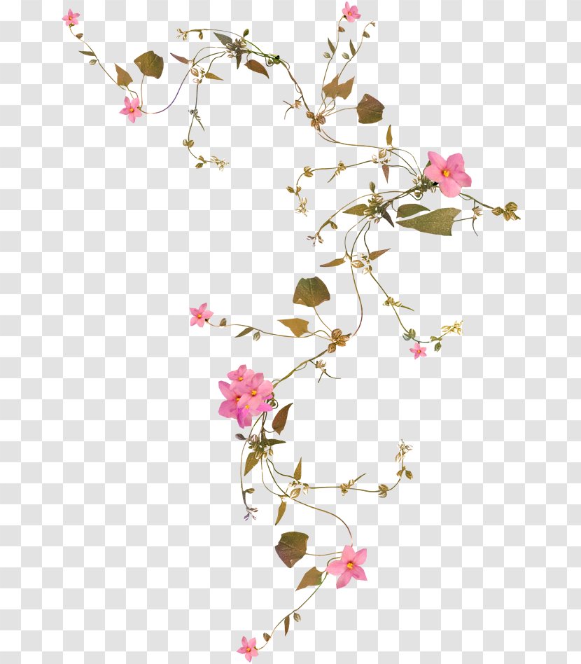 Flower Vine - Leather - Cherry Blossom Transparent PNG