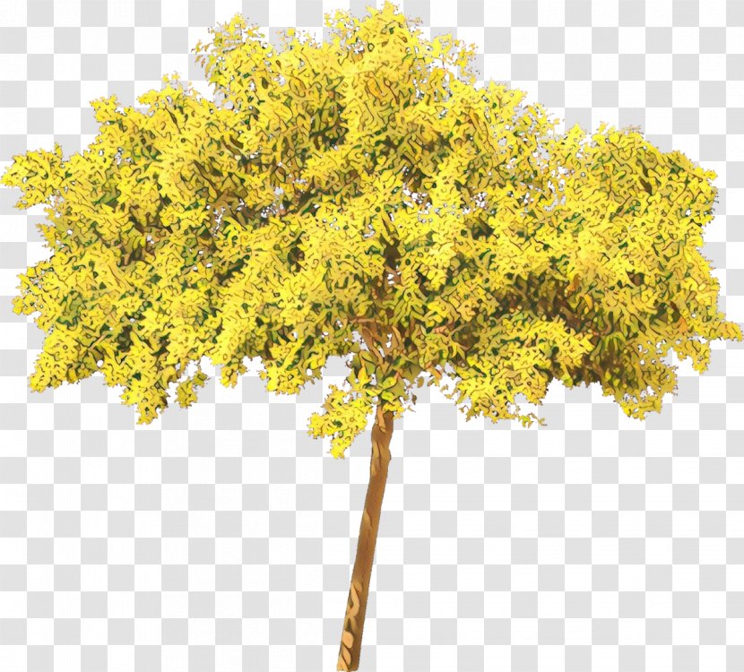 Sunset Trees & Shrubs Branch - Flowering Plant - Wood Transparent PNG