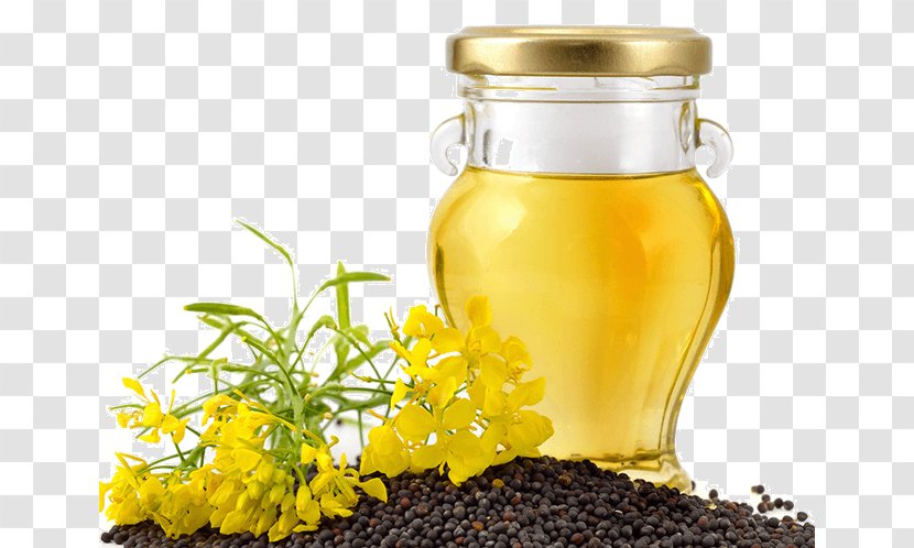 Canola Colza Oil Sunflower Olive - Bottle Transparent PNG