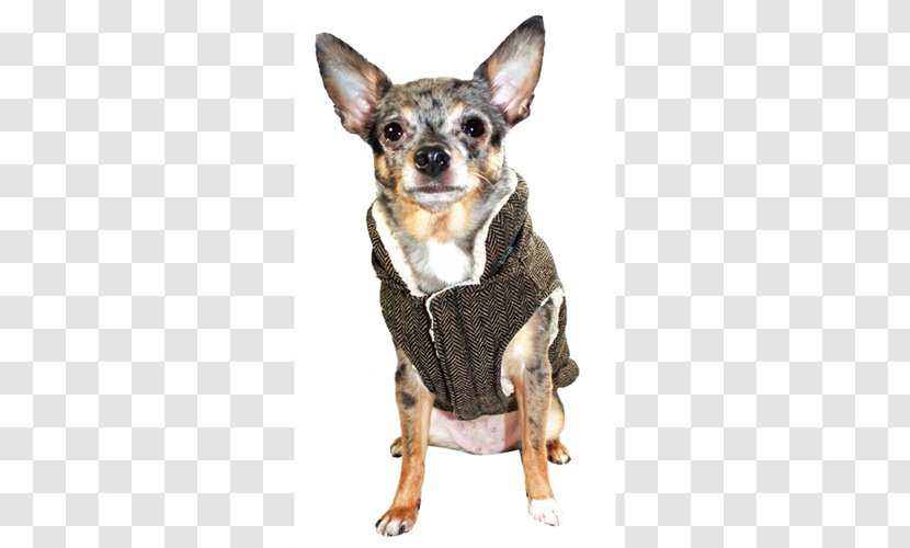Dog Breed Chihuahua Companion Bodywarmer Gilets - Shearling - Herringbone Transparent PNG
