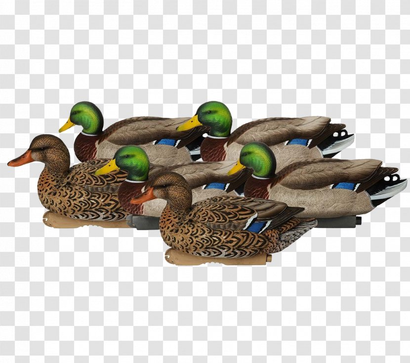 Avery GHG Pro-Grade Mallards Decoys Duck Decoy Greenhead Gear - American Black - Mallard Silhouette Transparent PNG