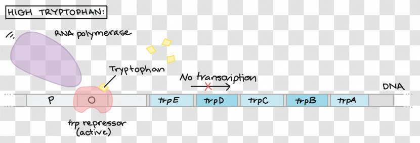 Document Line - Brand - Design Transparent PNG