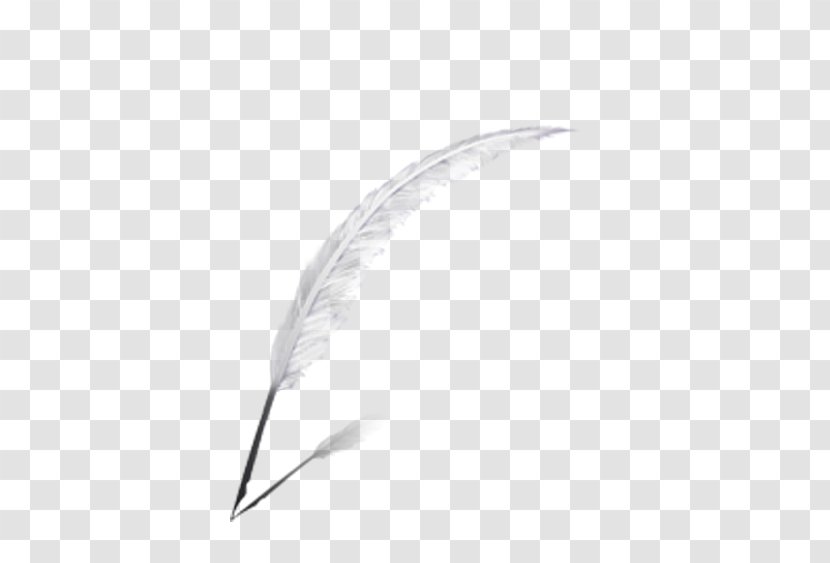 Feather Computer File - Material - Attractive Transparent PNG