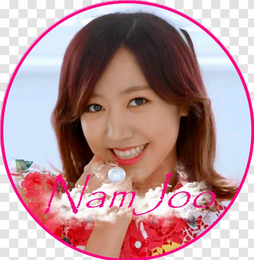 Kim Nam-joo Apink Pink Blossom Mr. Chu - Watercolor - Namjoo Transparent PNG