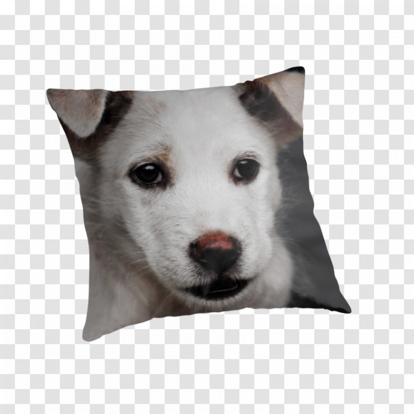 Dog Breed Siberian Husky Kishu Puppy Pillow - Sad Transparent PNG