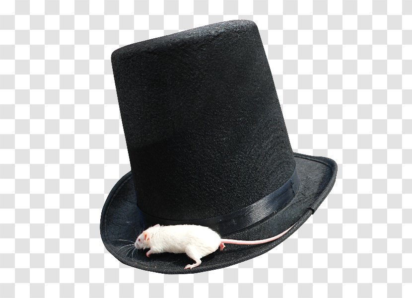 Conner Hats Men's Steampunk Wool Top Hat Portable Network Graphics Computer Mouse - Costume Transparent PNG
