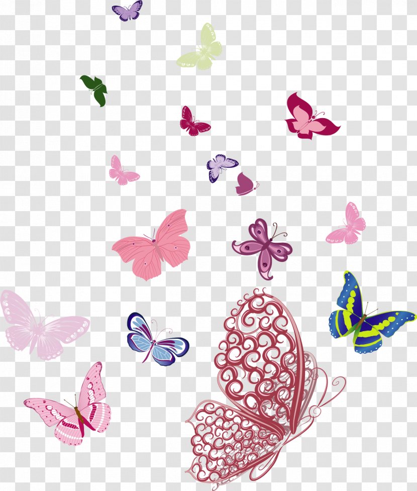 Butterfly Insect Group - Pink - Vector Transparent PNG
