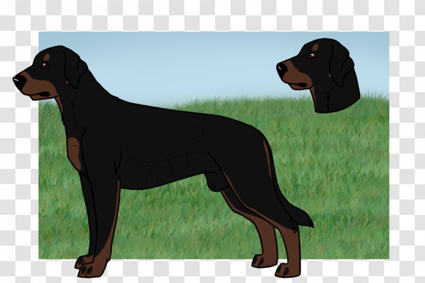 Black And Tan Coonhound Dog Breed Austrian Hound Polish Hunting Smaland - Like Mammal Transparent PNG