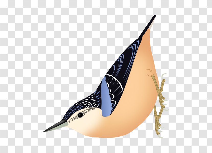 Bird Algerian Nuthatch Corsican Eurasian White-browed Transparent PNG