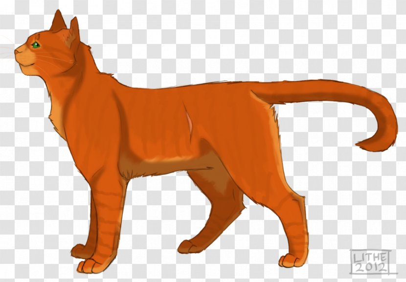 Firestar Cat Warriors Drawing Coloring Book - Drawings Of Basketball Transparent PNG