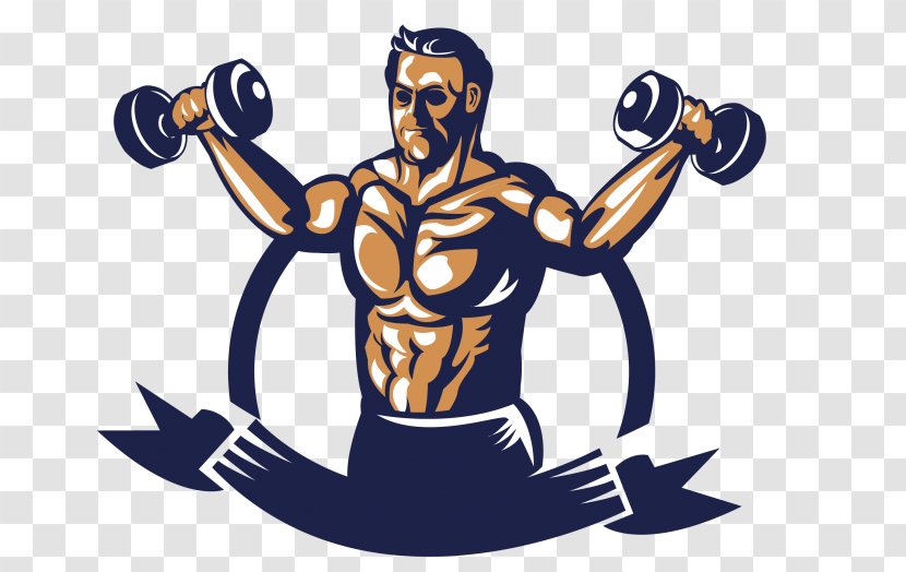Weightlifting Bodybuilding Physical Fitness Muscle Transparent PNG