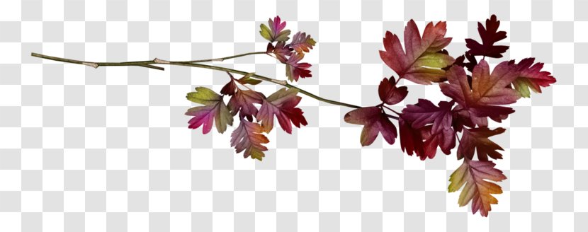 Leaf Tree - Treelet Transparent PNG