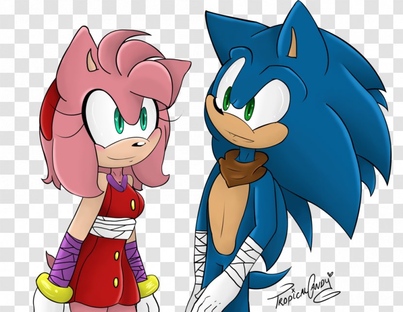 Tails Amy Rose Sonic The Hedgehog Comic DeviantArt - Flower - Tropical Drawings Transparent PNG