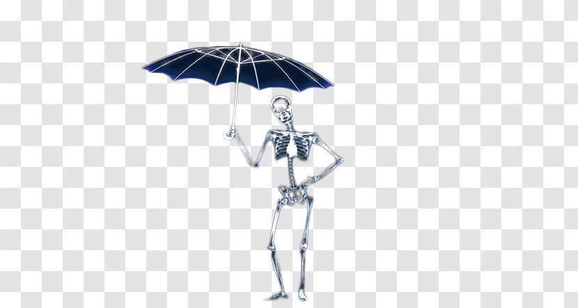 Umbrella Download Icon - Skeleton - Hold Black Transparent PNG