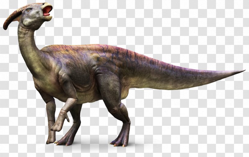 Parasaurolophus Dinosaur Hadrosauridae The Field Museum - Animation - Troodon Transparent PNG