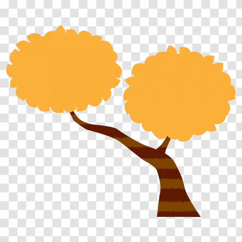 Autumn Tree Broadleaf - Plant - Plane Transparent PNG