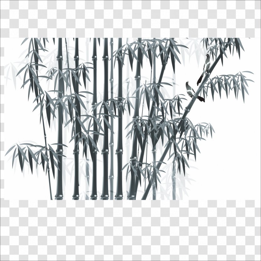 Bamboo - Bamboe - Sasa Transparent PNG