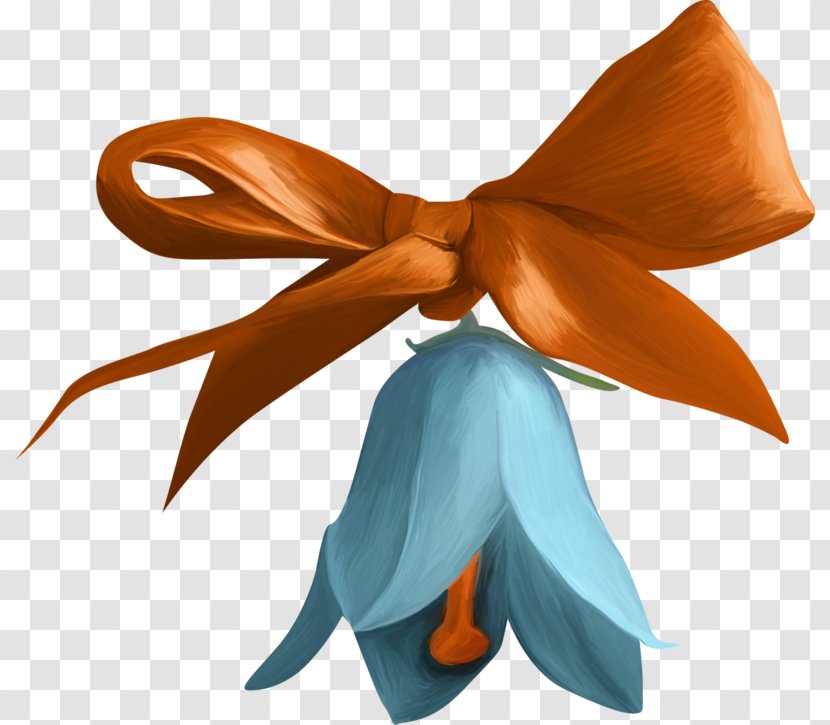 Bellflowers Orange S.A. - Flower - Sa Transparent PNG