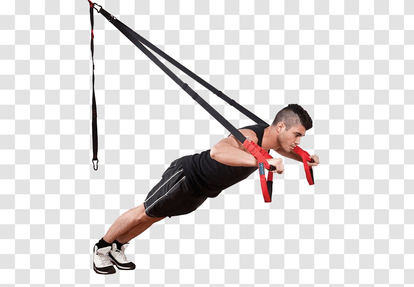 Suspension Training Exercise Equipment Strength Bands - Fitness Centre - Workout Anytime Transparent PNG