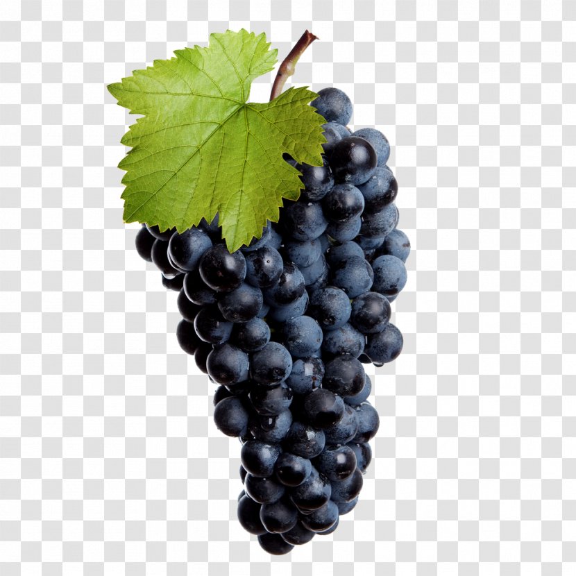 Common Grape Vine Red Wine Leaves - Harvest Transparent PNG
