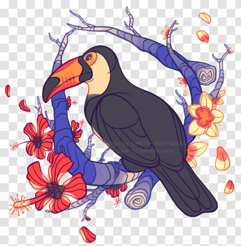Bird Vertebrate Beak Toucan - Wing Transparent PNG