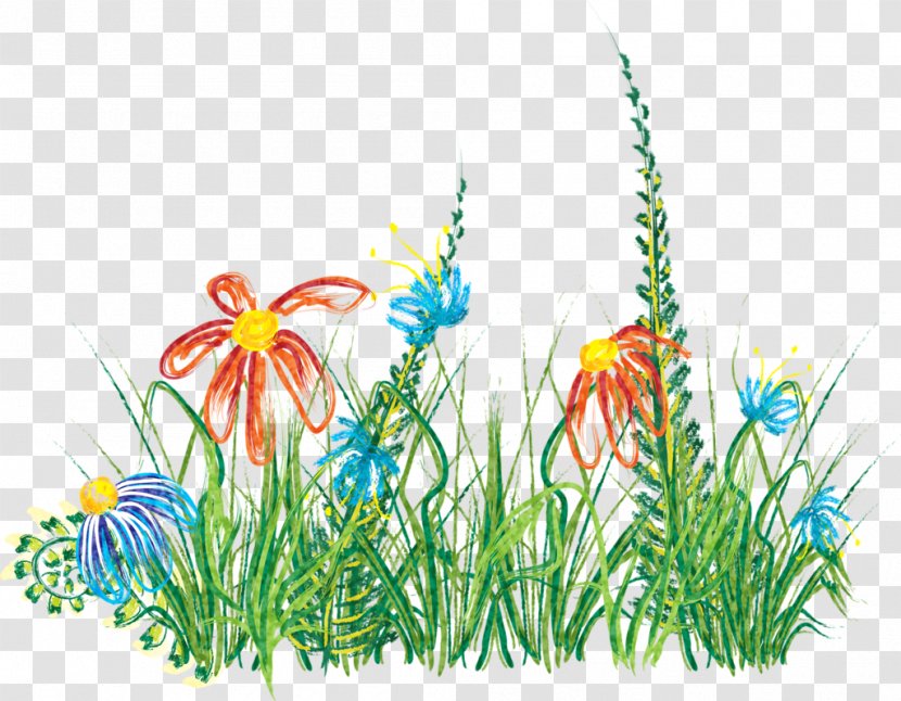 Floral Design Meadow Desktop Wallpaper Wildflower - Family Transparent PNG