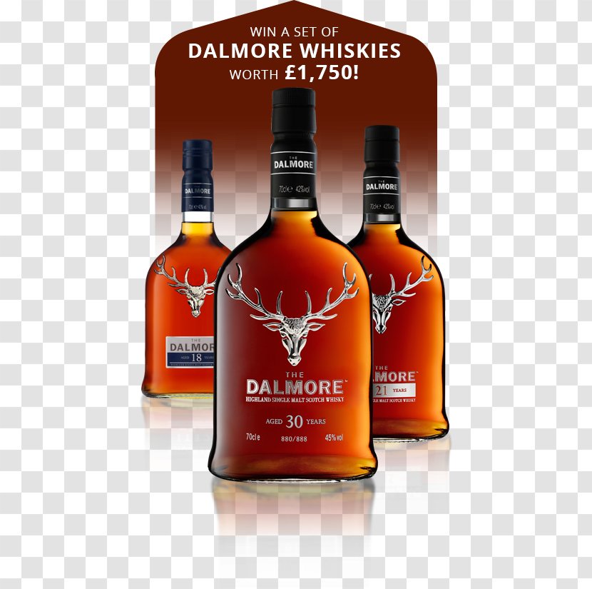 Liqueur Whiskey Dalmore Distillery Scotch Whisky Single Malt - Dessert - Shot Glass Transparent PNG