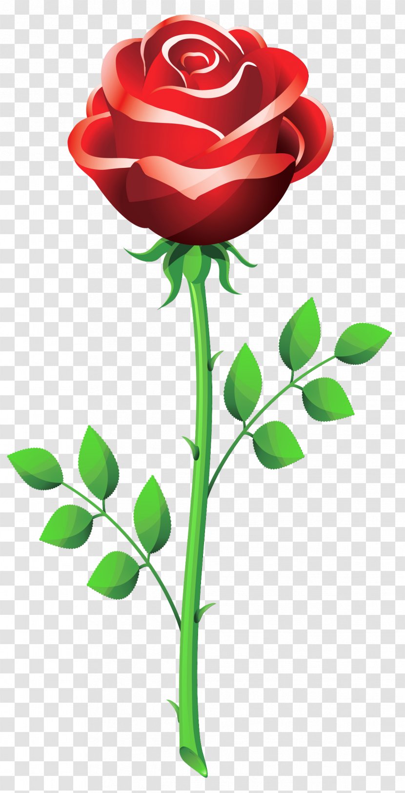 Valentines Day Propose Rose Flower Bouquet Clip Art - Red - Cliparts Transparent PNG