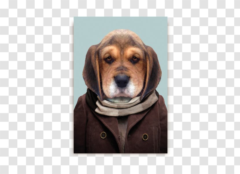 IPhone 5 6 Plus 4 Beagle - Hound - Zoo Portraits Transparent PNG