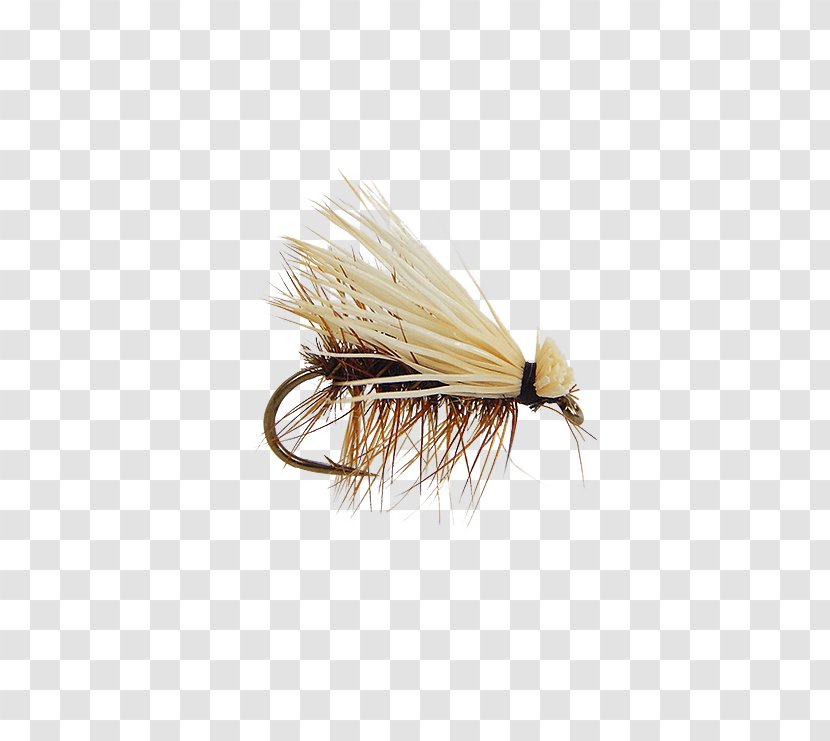 Artificial Fly Elk Hair Caddis Fishing - Membrane Winged Insect Transparent PNG