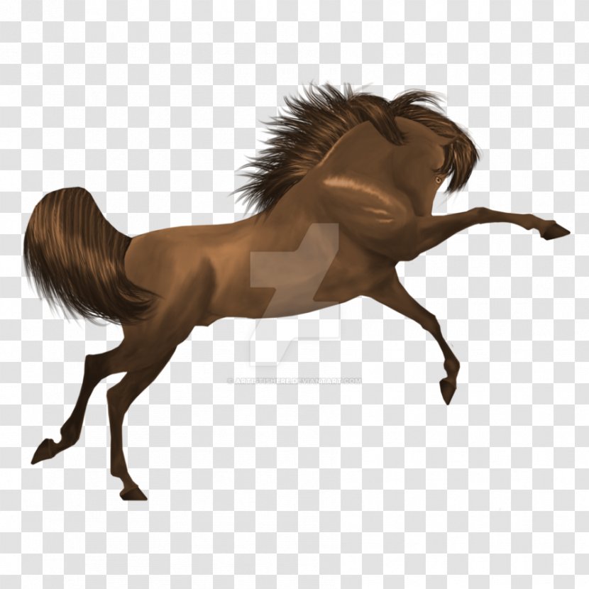 Mustang Stallion Mare Bridle Halter - Horse - Spring Break Transparent PNG
