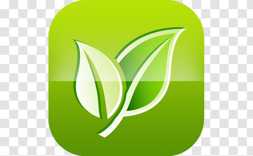 Pollen Allergy Android Flower Allergen - Plant Transparent PNG