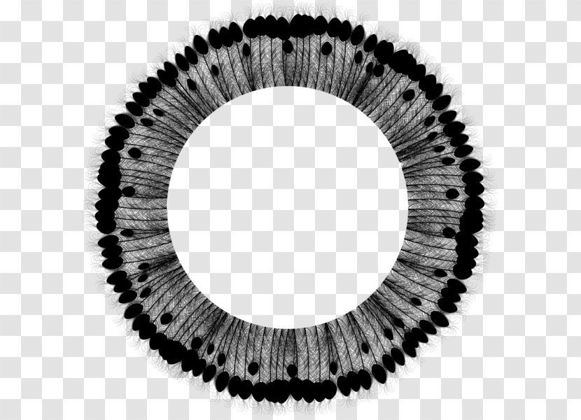 Wheel Circle Product Design - Black M Transparent PNG