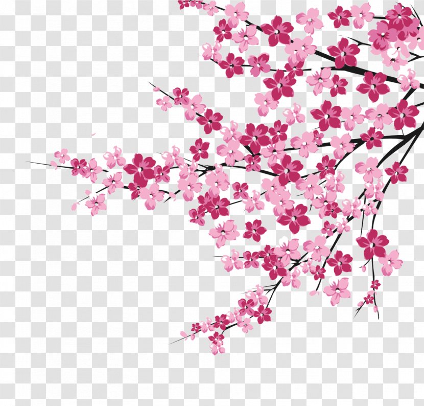 Cherry Blossom Pink - Spring - Blossoms Transparent PNG