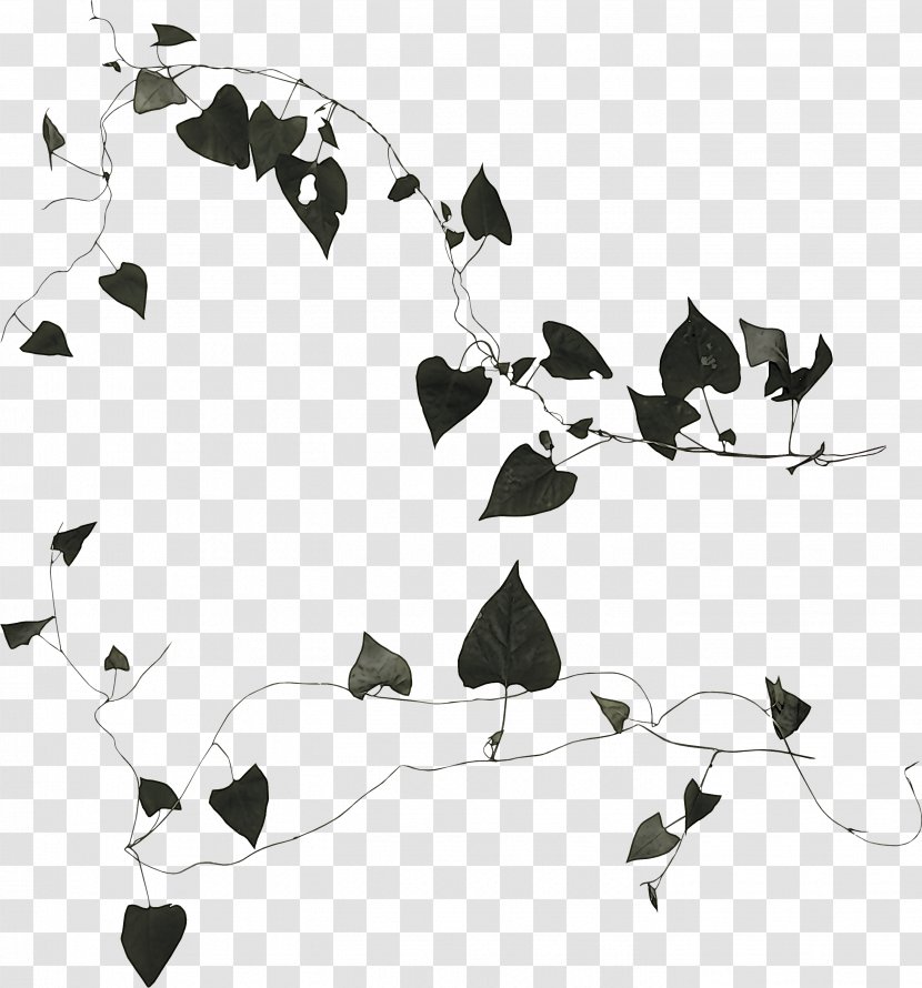 Leaf Black-and-white Stencil - Blackandwhite Transparent PNG