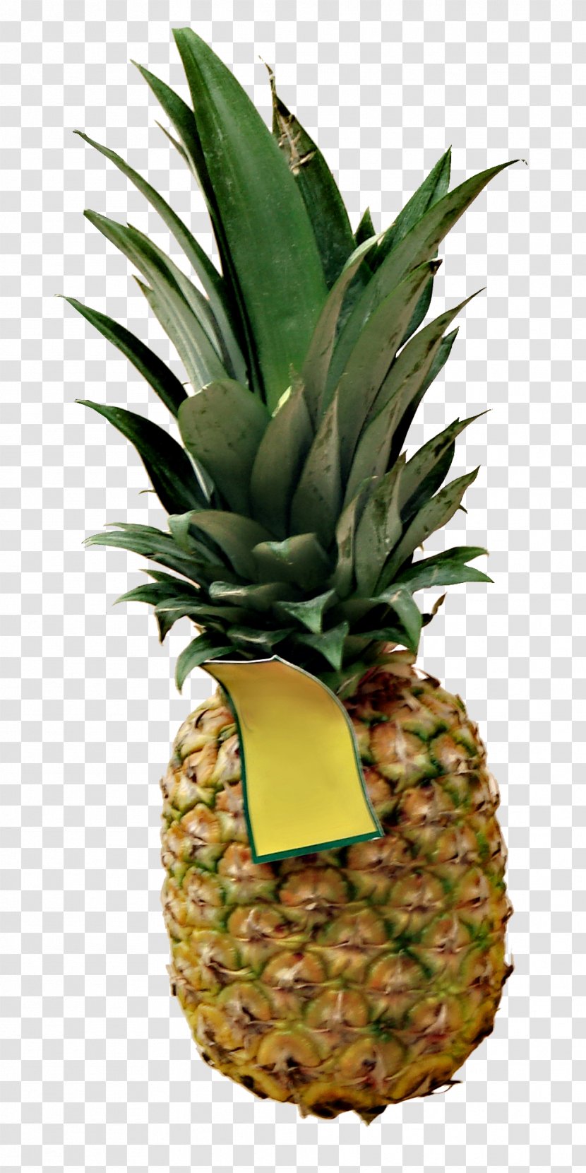 Pineapple Image Download Clip Art - Ananas - Current Transparent PNG