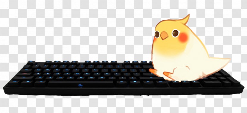 Bird Laptop - Go To Bed Transparent PNG