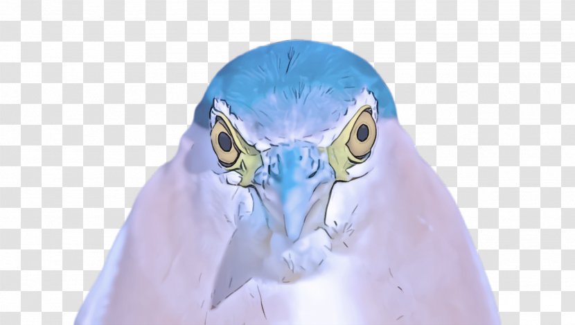 Beak Bird Neck Transparent PNG