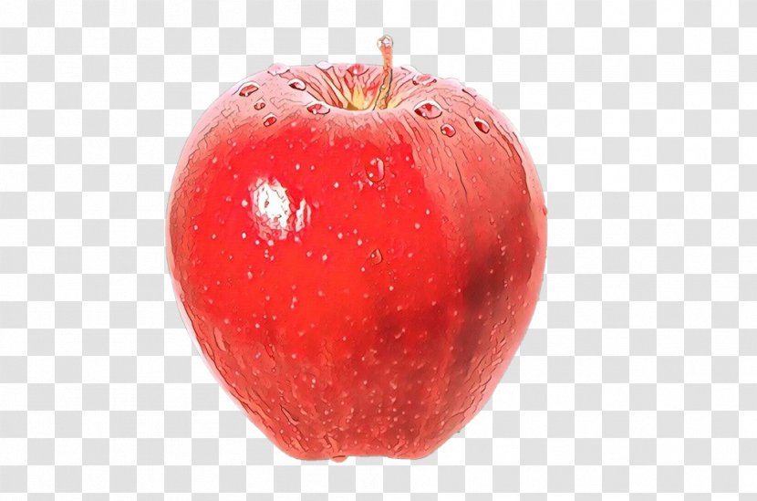 Apple Cartoon - Food - Malus Seedless Fruit Transparent PNG