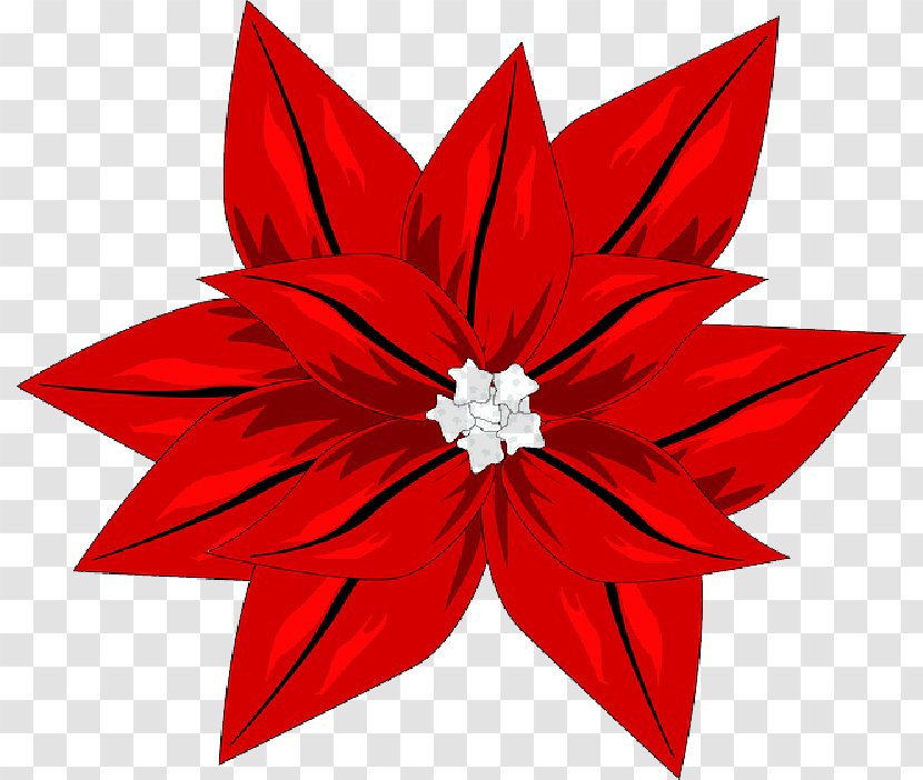Clip Art Christmas Poinsettia Vector Graphics Free Content - Day - Red Blossom Transparent PNG